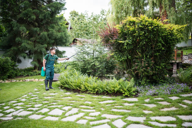 Trusted Pennsburg, PA Pest Control Experts