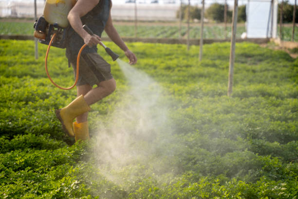 Best Pest Control Treatment  in Pennsburg, PA