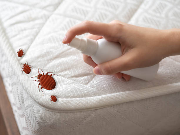 Best Termite Control Services  in Pennsburg, PA