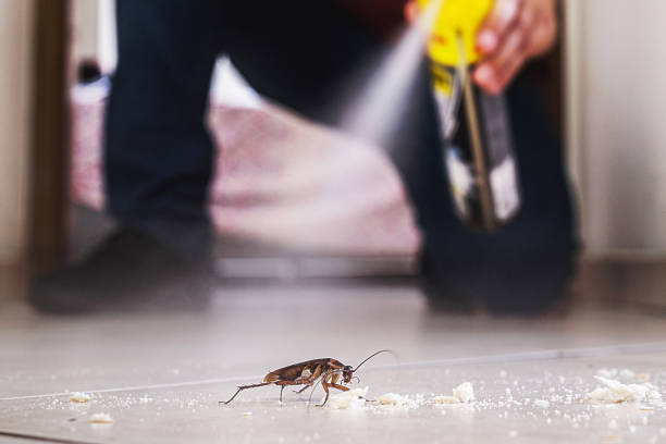 Best Exterminator Services  in Pennsburg, PA